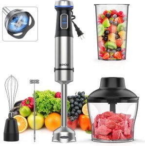 Immersion Blender