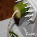 Leftover Veggie Core