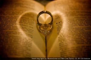 credited_3003380784_580cf7dfec