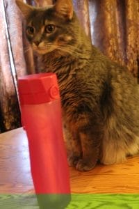 Miracle Weight Loss Drug - No, Really! (& Hidrate Spark 2.0) Low Carb Reviews