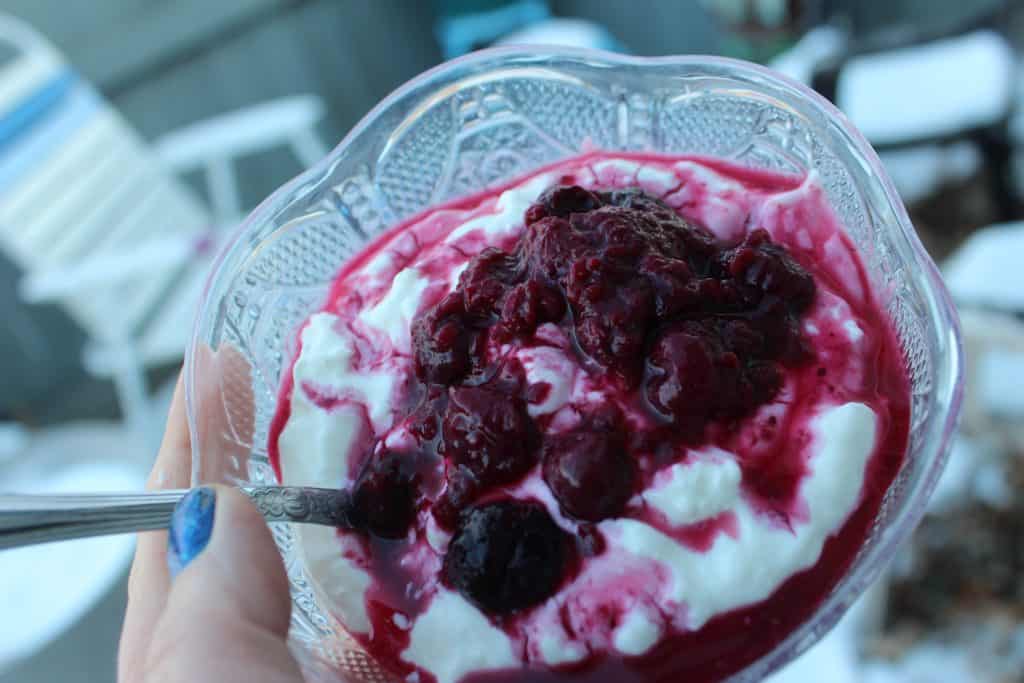 low carb instant pot yogurt