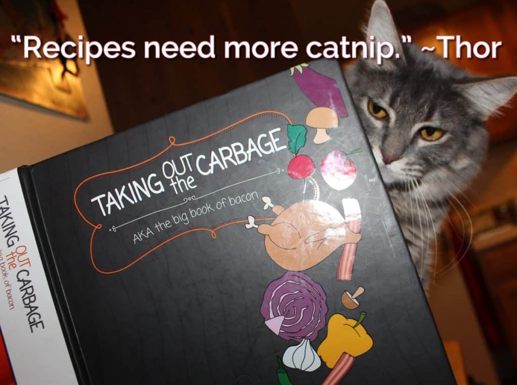 Pigeons and Accidental Wisdom Newsletters