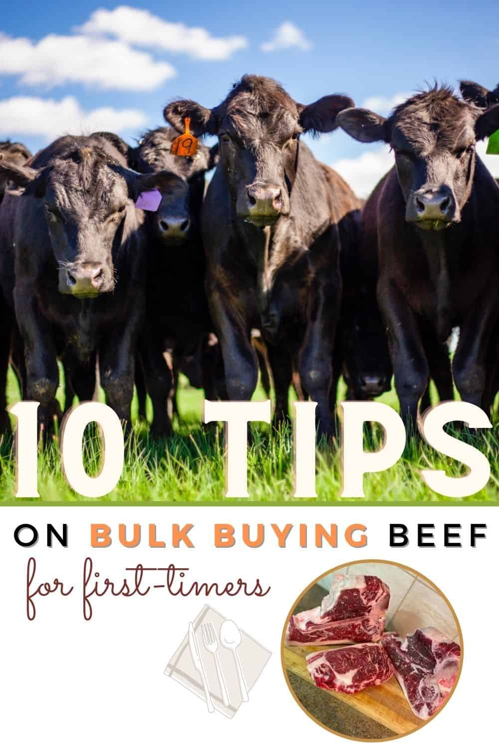 10 Tips on Bulk Buying Beef for First Timers 5 10 Tips on Bulk Buying Beef for First Timers