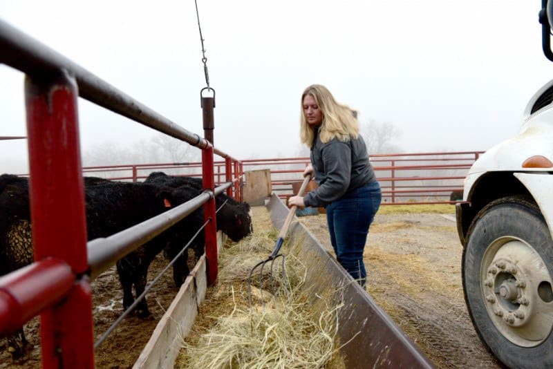 10 Tips on Bulk Buying Beef for First Timers 1 Bulk Buying Beef Feeding